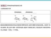 13.1从闪电谈起 练习课件