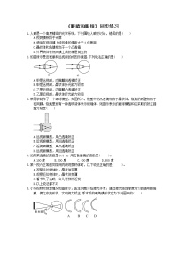 物理八年级上册第4节 眼睛和眼镜练习