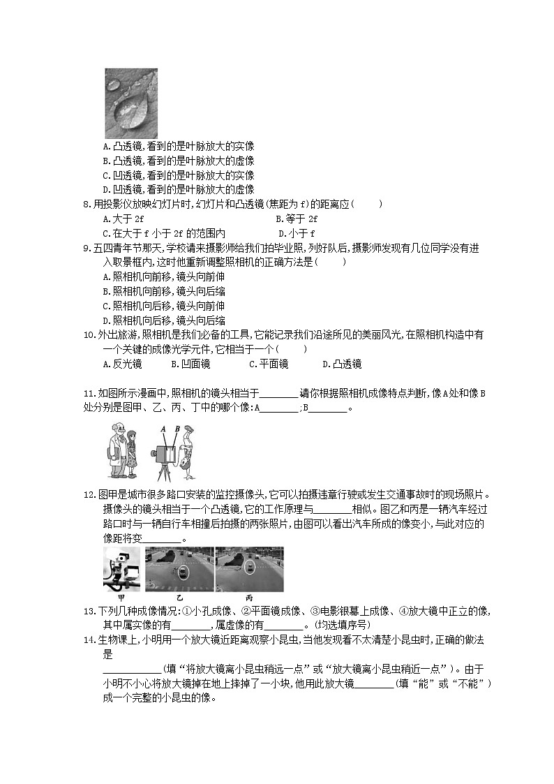 2020年人教版八年级物理上册：《生活中的透镜》课时练习（含答案）02