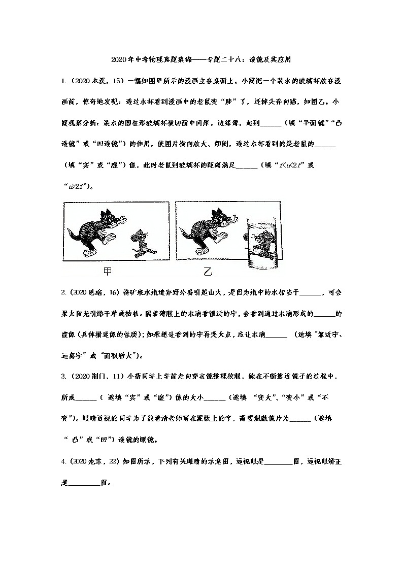 2020年中考物理真题集锦——专题二十八：透镜及其应用01