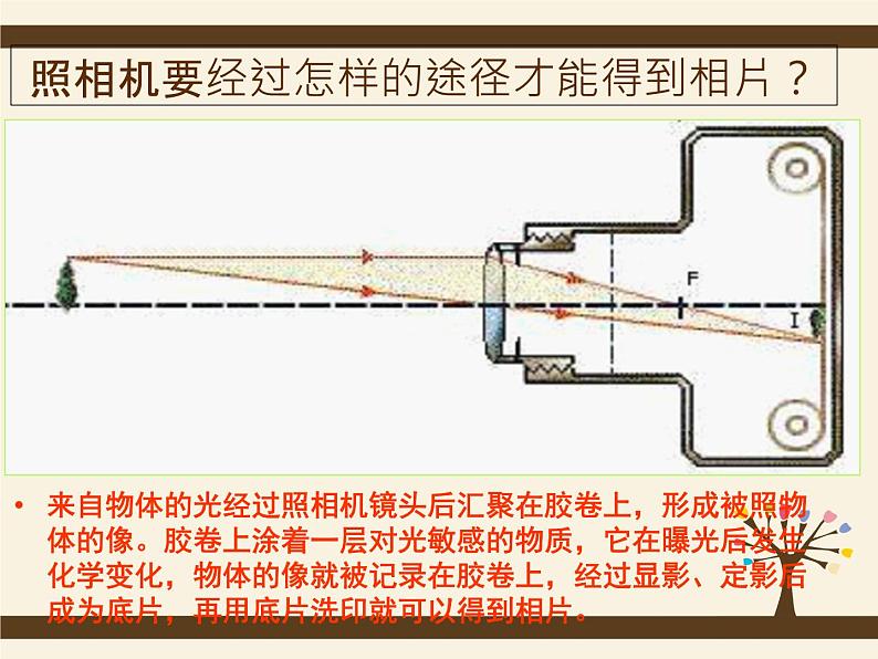 5.2生活中的透镜2020-2021学年八年级物理上册同步优质课（人教版） 课件06