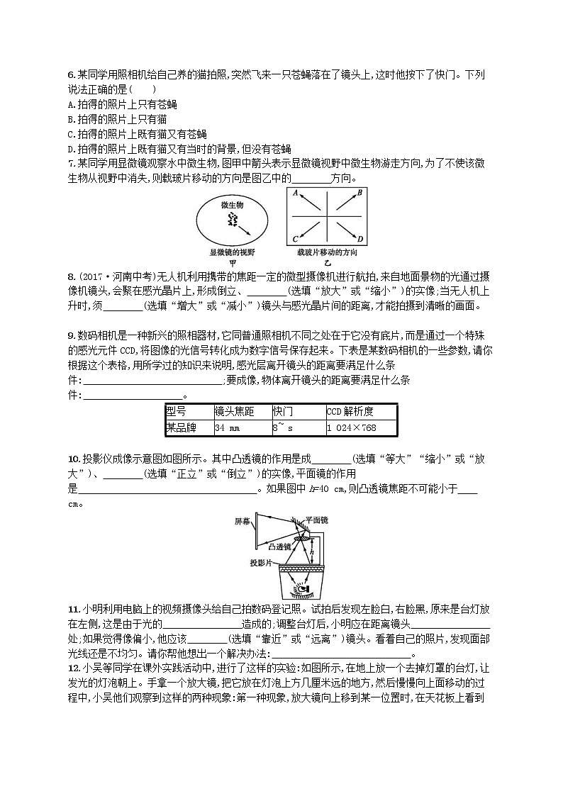 北师大版八年级物理下册6.3生活中的透镜 知能演练提升(含答案)02