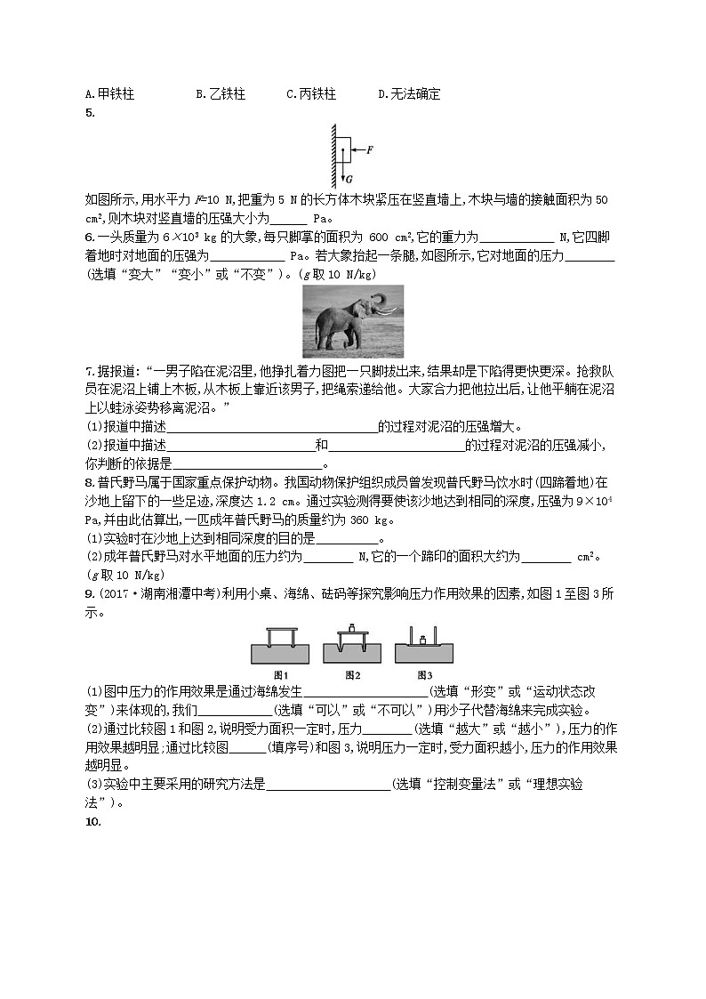 北师大版八年级物理下册8.1压强 知能演练提升(含答案)02