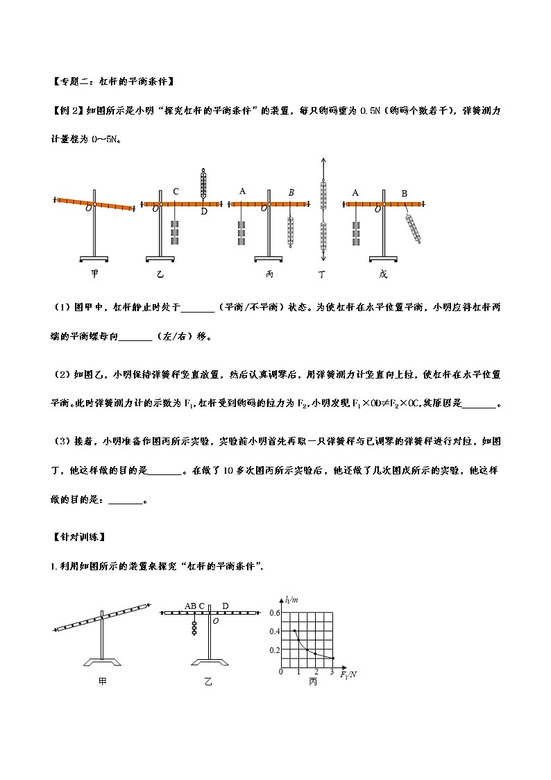 备战2021中考物理章节专题训练——专题十二：简单机械02