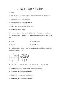 初中物理教科版九年级上册2 电压：电流产生的原因优秀当堂达标检测题