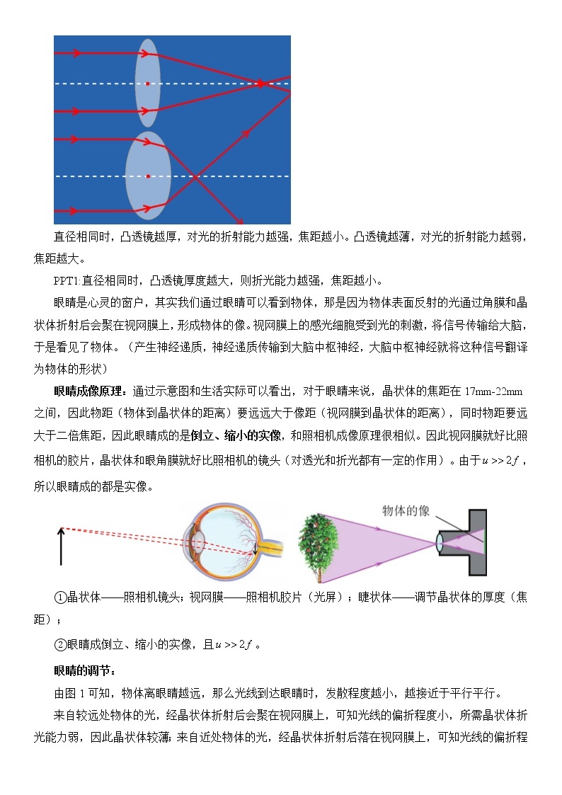 5.4  眼睛和眼镜   教案02