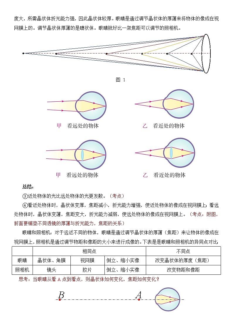 5.4  眼睛和眼镜   教案03