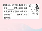 第四章 第2节光的反射（第1课时光的反射现象及定律）习题 PPT课件