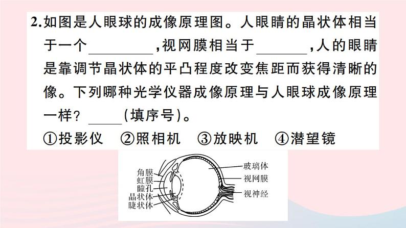 5.4 眼睛和眼镜（习题）PPT课件第3页