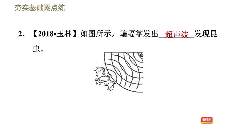 2.3 声的利用 PPT课件第6页