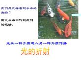 4.4 光的折射 PPT课件