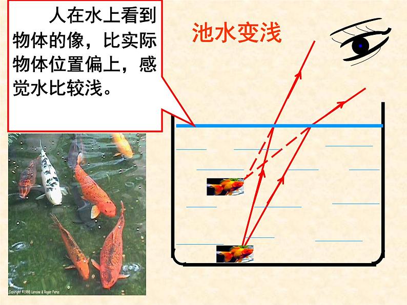 4.4 光的折射 PPT课件08