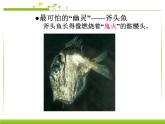 4.1 光的直线传播 PPT课件