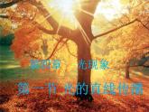 4.1 光的直线传播 PPT课件