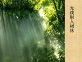 4.1 光的直线传播 PPT课件