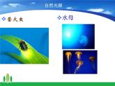 4.1 光的直线传播 PPT课件