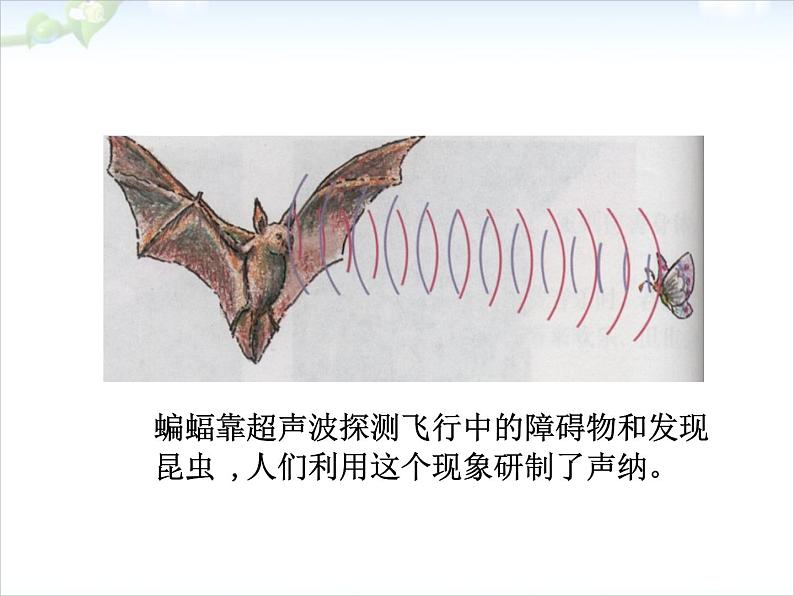 2.3 声的利用 PPT课件第8页