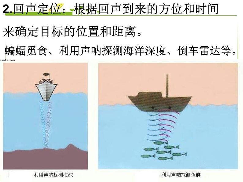 2.3 声的利用 PPT课件第4页