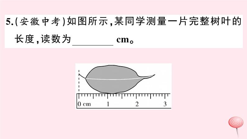 2019秋八年级物理上册第一章走进物理世界小结与复习习题课件（新版）粤教沪版05