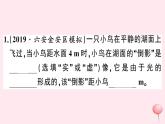 2019秋八年级物理上册3-3探究平面镜成像特点第1课时平面镜成像特点习题课件（新版）粤教沪版