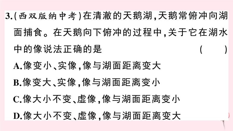 2019秋八年级物理上册3-3探究平面镜成像特点第2课时平面镜的应用各种面镜习题课件（新版）粤教沪版04