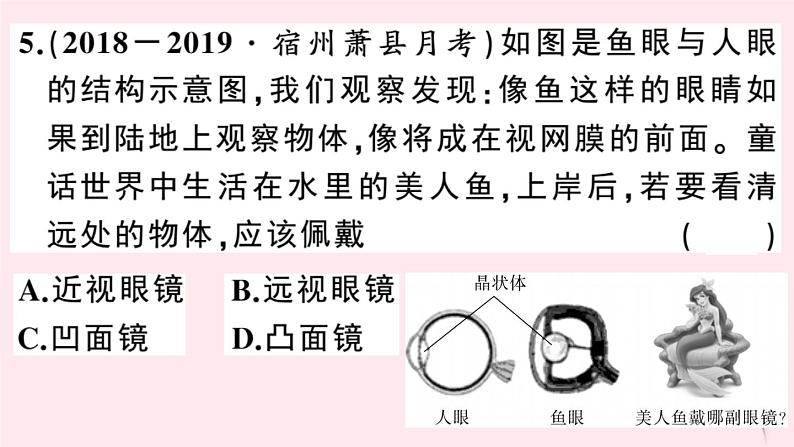 2019秋八年级物理上册3-7眼睛与光学仪器习题课件（新版）粤教沪版06