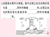 2019秋八年级物理上册4-5水循环与水资源习题课件（新版）粤教沪版