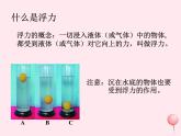 八年级物理下册10-2认识浮力课件1（新版）教科版