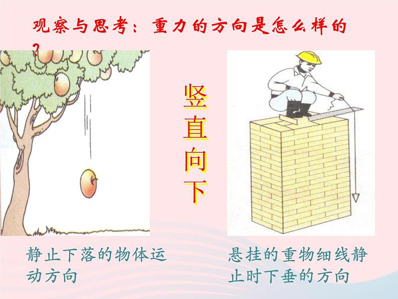 八年级下物理课件八年级物理下册7-3重力课件新版北师大版_北师大版08