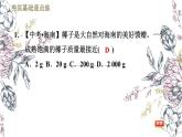 八年级物理上册2-2物体的质量及其测量_北师大版