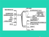 2021年人教版八年級(jí)物理下冊(cè)第7章 力整合 課件(含答案)