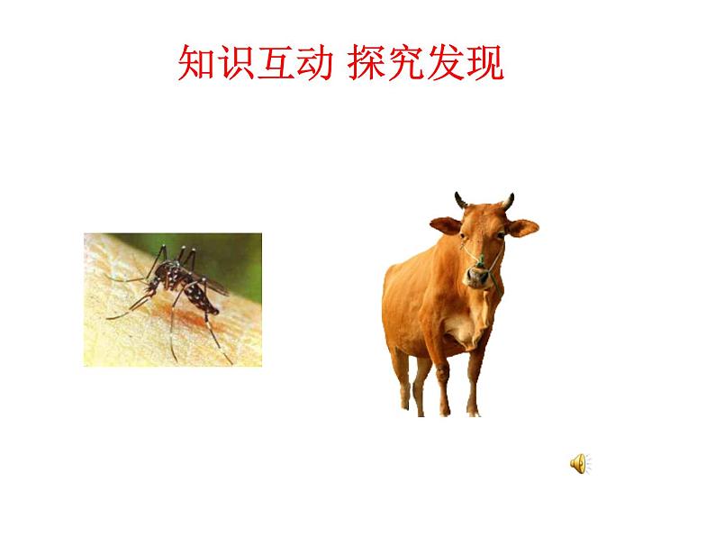 2.2 声音的特性 PPT课件03