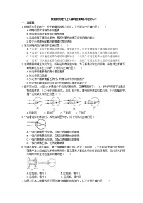 初中物理教科版八年级上册第四章 在光的世界里6 神奇的眼睛课后测评