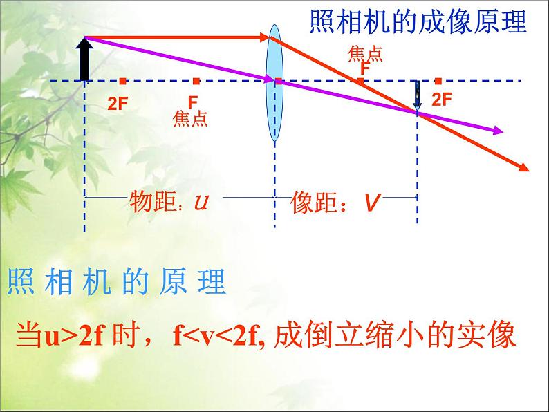 5.2 生活中的透镜 PPT课件第5页