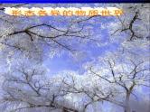 3.1 温度 PPT课件