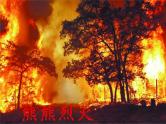 3.1 温度 PPT课件