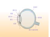 5.5 显微镜和望远镜 PPT课件