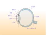 5.5 显微镜和望远镜 PPT课件