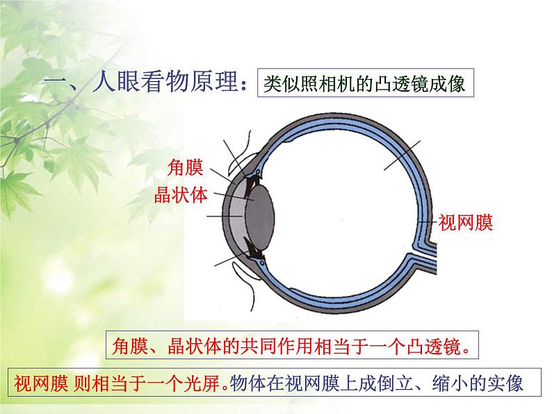 5.4 眼睛和眼镜 PPT课件02