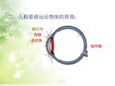 5.4 眼睛和眼镜 PPT课件