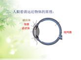 5.4 眼睛和眼镜 PPT课件