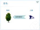 5.4 眼睛和眼镜 PPT课件