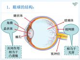 5.4 眼睛和眼镜 PPT课件