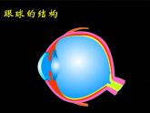 5.4 眼睛和眼镜 PPT课件