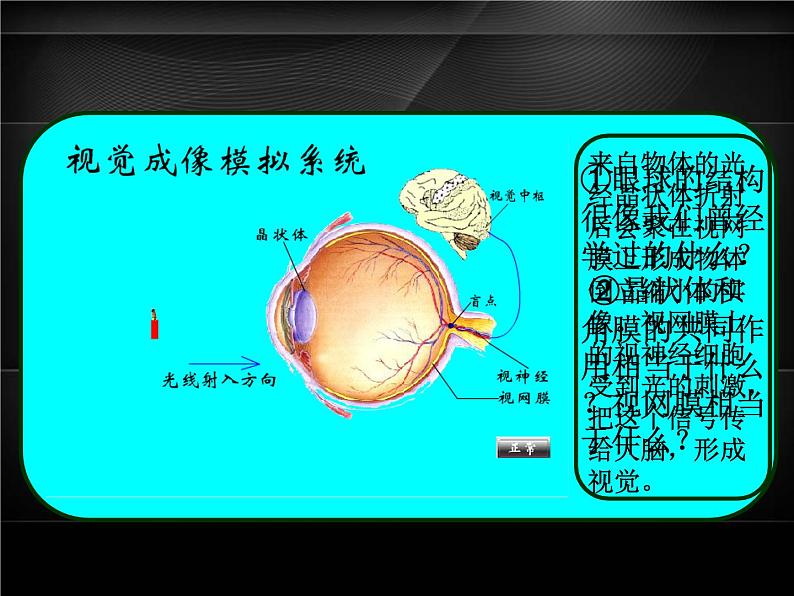 5.4 眼睛和眼镜 PPT课件04