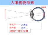 5.4 眼睛和眼镜 PPT课件