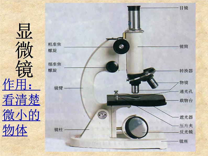 5.5 显微镜和望远镜 PPT课件第4页