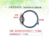 5.4 眼睛和眼镜 PPT课件