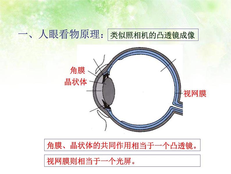 5.4 眼睛和眼镜 PPT课件02