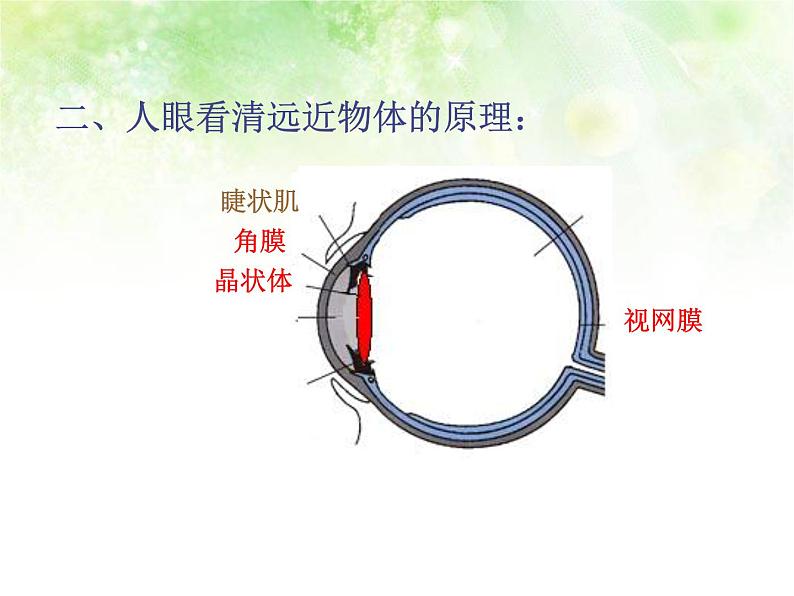 5.4 眼睛和眼镜 PPT课件04